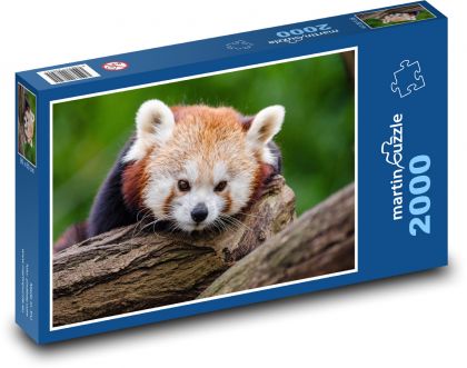 Panda červená - Puzzle 2000 dílků, rozměr 90x60 cm