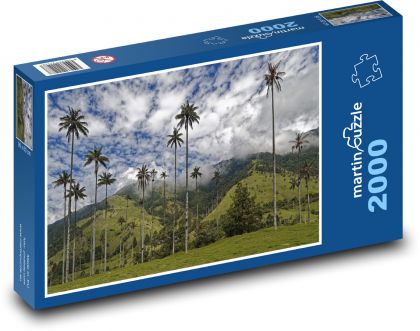 Kolumbia - palmy - Puzzle 2000 dielikov, rozmer 90x60 cm 