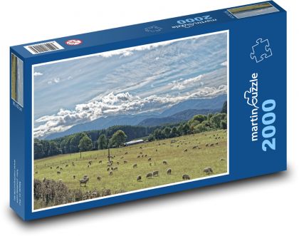 Nový Zéland - ovce - Puzzle 2000 dílků, rozměr 90x60 cm