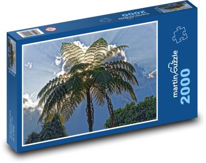 Kolumbie - palma - Puzzle 2000 dílků, rozměr 90x60 cm
