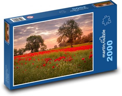 Ackworth, Poppy Field - Puzzle 2000 elementów, rozmiar 90x60 cm