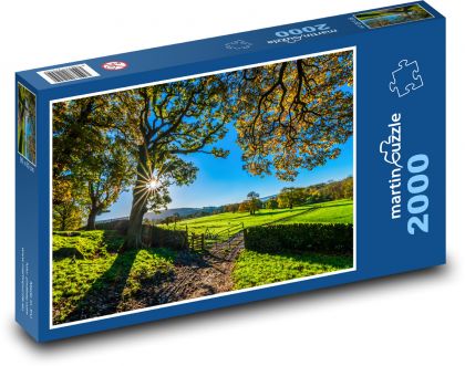 Yorkshire, slunečný podzim - Puzzle 2000 dílků, rozměr 90x60 cm