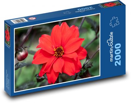 Červená květina - Puzzle 2000 dílků, rozměr 90x60 cm