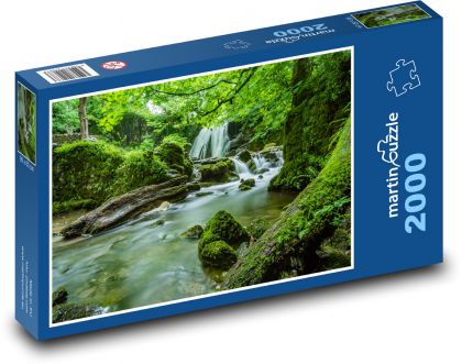 Dzika rzeka płynąca przez zarośnięty las - Puzzle 2000 elementów, rozmiar 90x60 cm