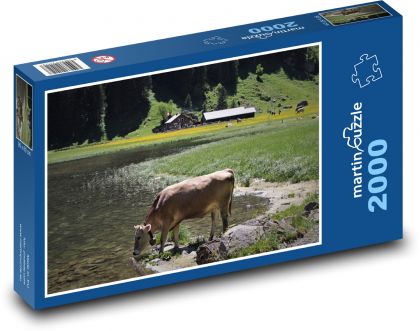 Zvieratá, krava, Alpy - Puzzle 2000 dielikov, rozmer 90x60 cm 