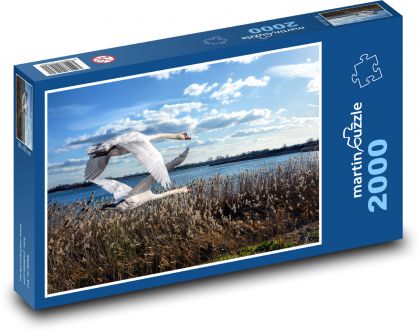 Latające nad jeziorem łabędzie - Puzzle 2000 elementów, rozmiar 90x60 cm
