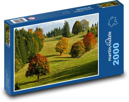 Jesień, przyroda - Puzzle 2000 elementów, rozmiar 90x60 cm