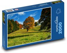 Příroda, podzim, strom Puzzle 2000 dílků - 90 x 60 cm