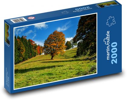 Příroda, podzim, strom - Puzzle 2000 dílků, rozměr 90x60 cm