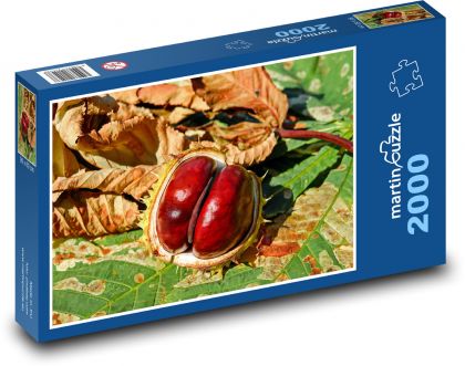 Herbstkastanie - Puzzle - 2000 Teile