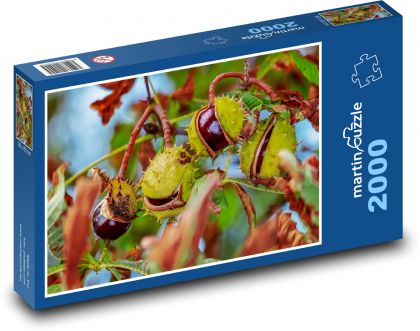 Zrelé gaštany na strome - Puzzle 2000 dielikov, rozmer 90x60 cm 