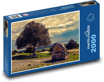 Olive tree by the sea - Puzzle 2000 pieces, size 90x60 cm 