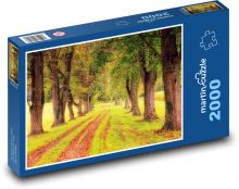 Bäume an der Straße Puzzle 2000 Teile - 90 x 60 cm