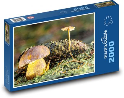 Příroda - houby - Puzzle 2000 dílků, rozměr 90x60 cm