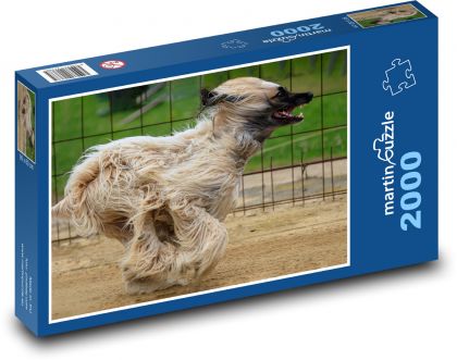 Chrtí závody - puzzle 2000 dílků