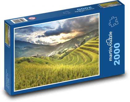 Vietnam - rýžové pole - Puzzle 2000 dílků, rozměr 90x60 cm