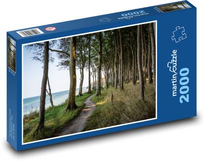 Stromy na okraji lesa - puzzle 2000 dílků