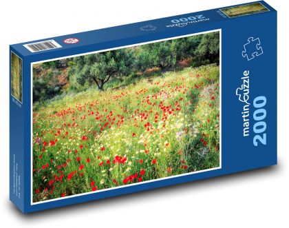 Vlčie maky v tráve - Puzzle 2000 dielikov, rozmer 90x60 cm 