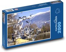 Vögel - Möwe Puzzle 2000 Teile - 90 x 60 cm
