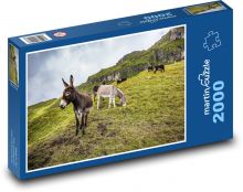 Góry, osioł Puzzle 2000 elementów - 90x60 cm