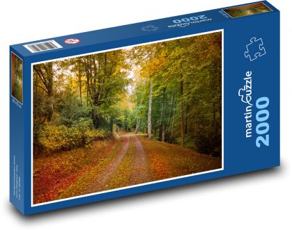 Podzim, cesta, les - Puzzle 2000 dílků, rozměr 90x60 cm