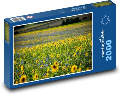 Field of sunflowers - Puzzle 2000 pieces, size 90x60 cm 