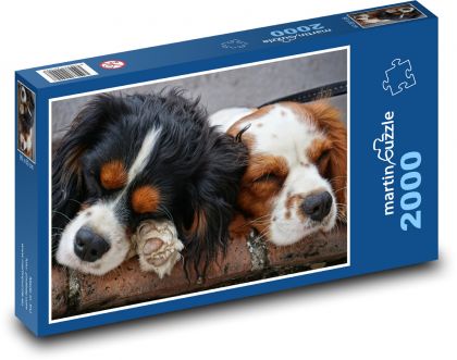 Spící psi - Puzzle 2000 dílků, rozměr 90x60 cm