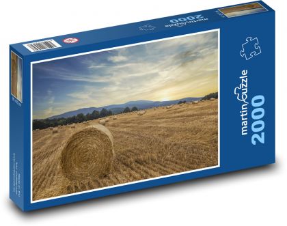 Pole, zboże, jesień - Puzzle 2000 elementów, rozmiar 90x60 cm