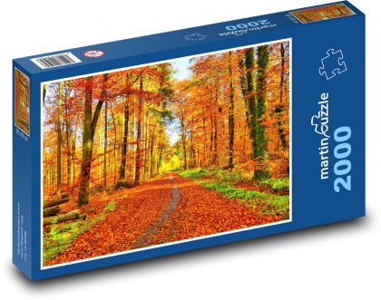 Autumn nature - Puzzle 2000 pieces, size 90x60 cm 