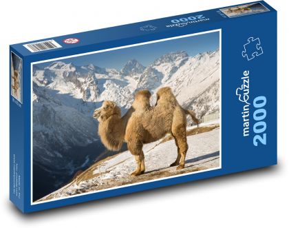 Wielbłąd w górach - Puzzle 2000 elementów, rozmiar 90x60 cm