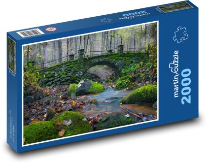 Forgotten bridge in the forest - Puzzle 2000 pieces, size 90x60 cm 