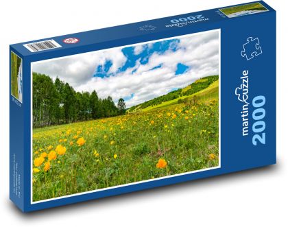 Blooming meadow - Puzzle 2000 pieces, size 90x60 cm 