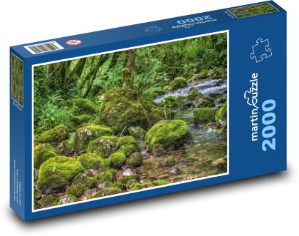 Die Magie des Waldbachs - Puzzle - 2000 Teile