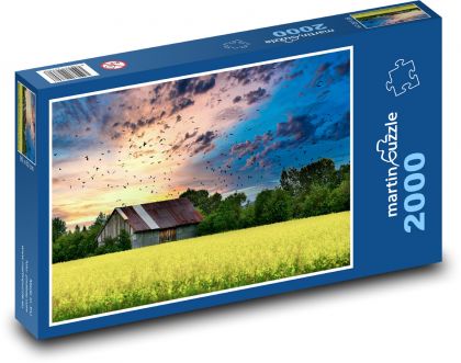 Feld, Vögel - Puzzle - 2000 Teile