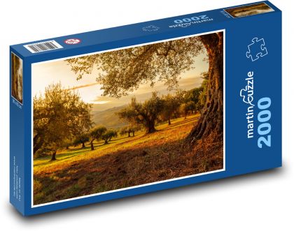 Stromy, sad - Puzzle 2000 dielikov, rozmer 90x60 cm 