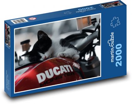 Kitten, Ducati - Puzzle 2000 pieces, size 90x60 cm 