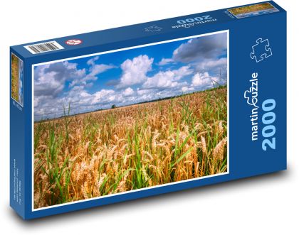 Grain, wheat - Puzzle 2000 pieces, size 90x60 cm 