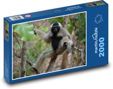 Jungle - monkey Puzzle 2000 pieces - 90 x 60 cm