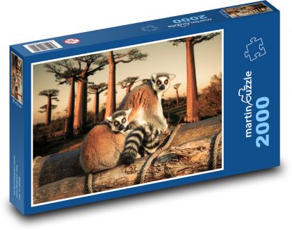 Lemur kata - Puzzle 2000 dílků, rozměr 90x60 cm