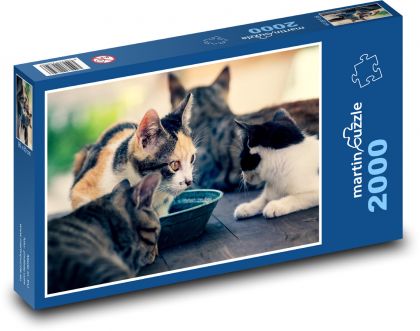 Katzen - Puzzle - 2000 Teile