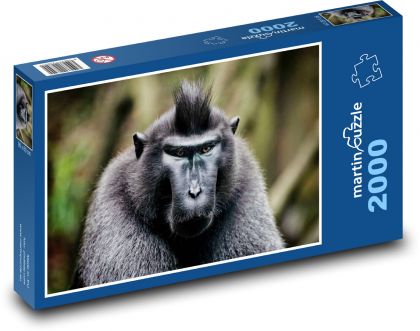 Opice - puzzle 2000 dílků