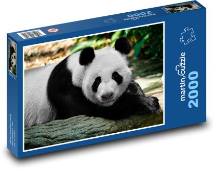 Panda veľká - Puzzle 2000 dielikov, rozmer 90x60 cm 