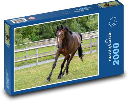 Kôň - Puzzle 2000 dielikov, rozmer 90x60 cm 