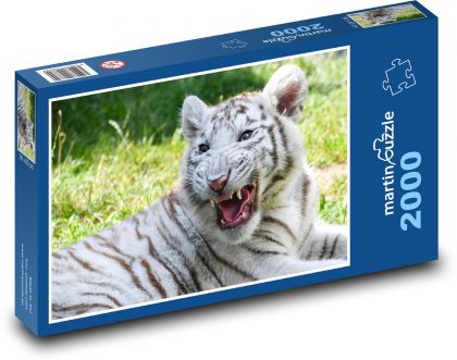Bílí tygr - Puzzle 2000 dílků, rozměr 90x60 cm