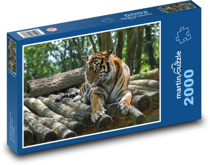 Tiger im Wald - Puzzle - 2000 Teile