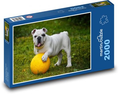 Dog, bulldog - Puzzle 2000 pieces, size 90x60 cm 