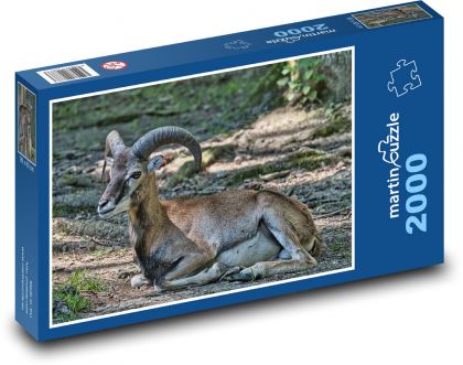 Muflón - Puzzle 2000 dielikov, rozmer 90x60 cm 