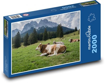 Alps, meadow, animals - Puzzle 2000 pieces, size 90x60 cm 