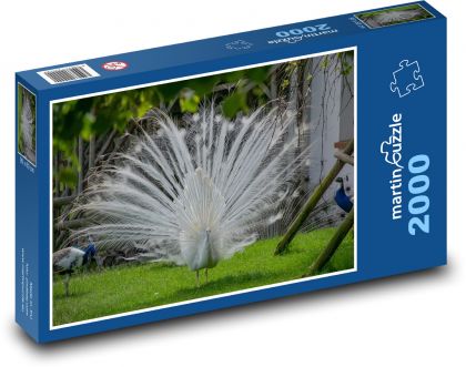 White peacock - Puzzle 2000 pieces, size 90x60 cm 