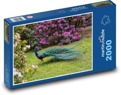 Peacock in the park - Puzzle 2000 pieces, size 90x60 cm 